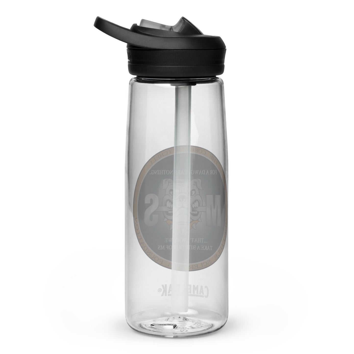 Sports water bottle