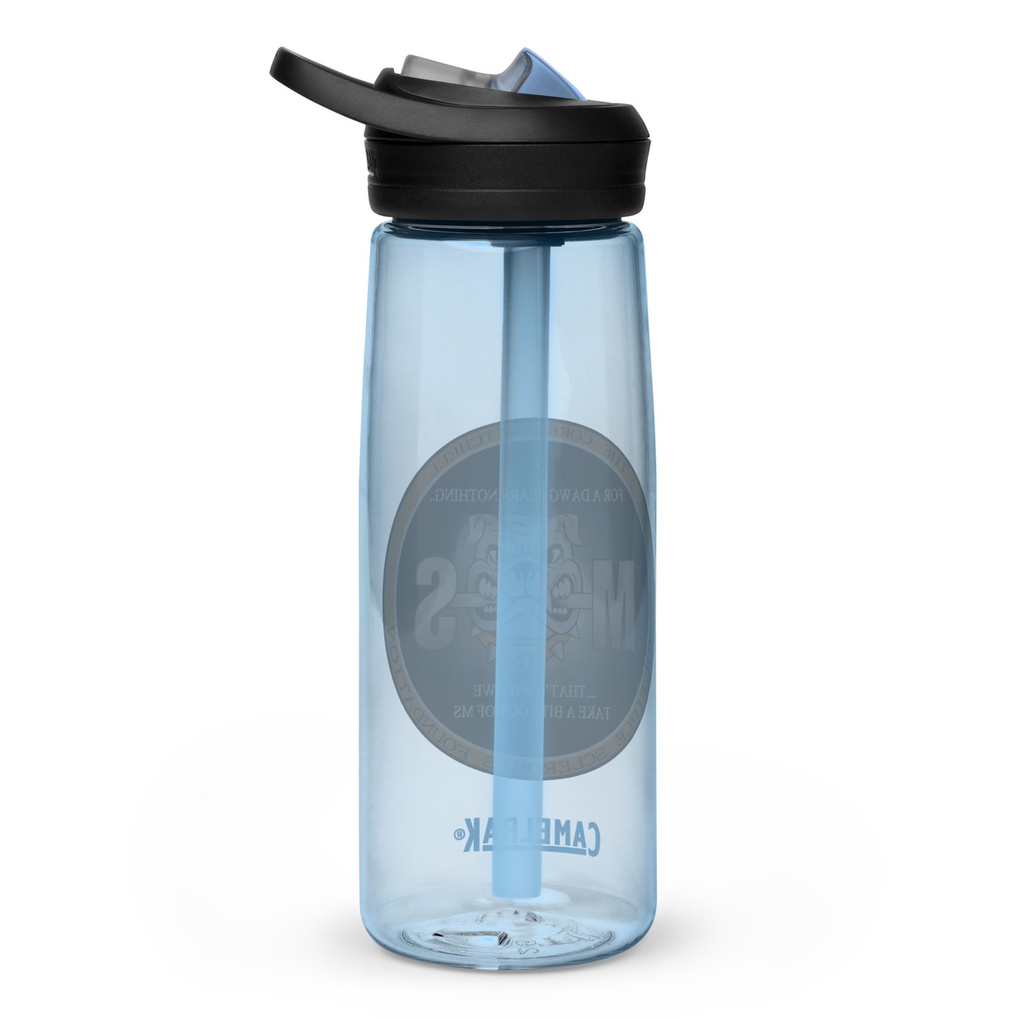 Sports water bottle