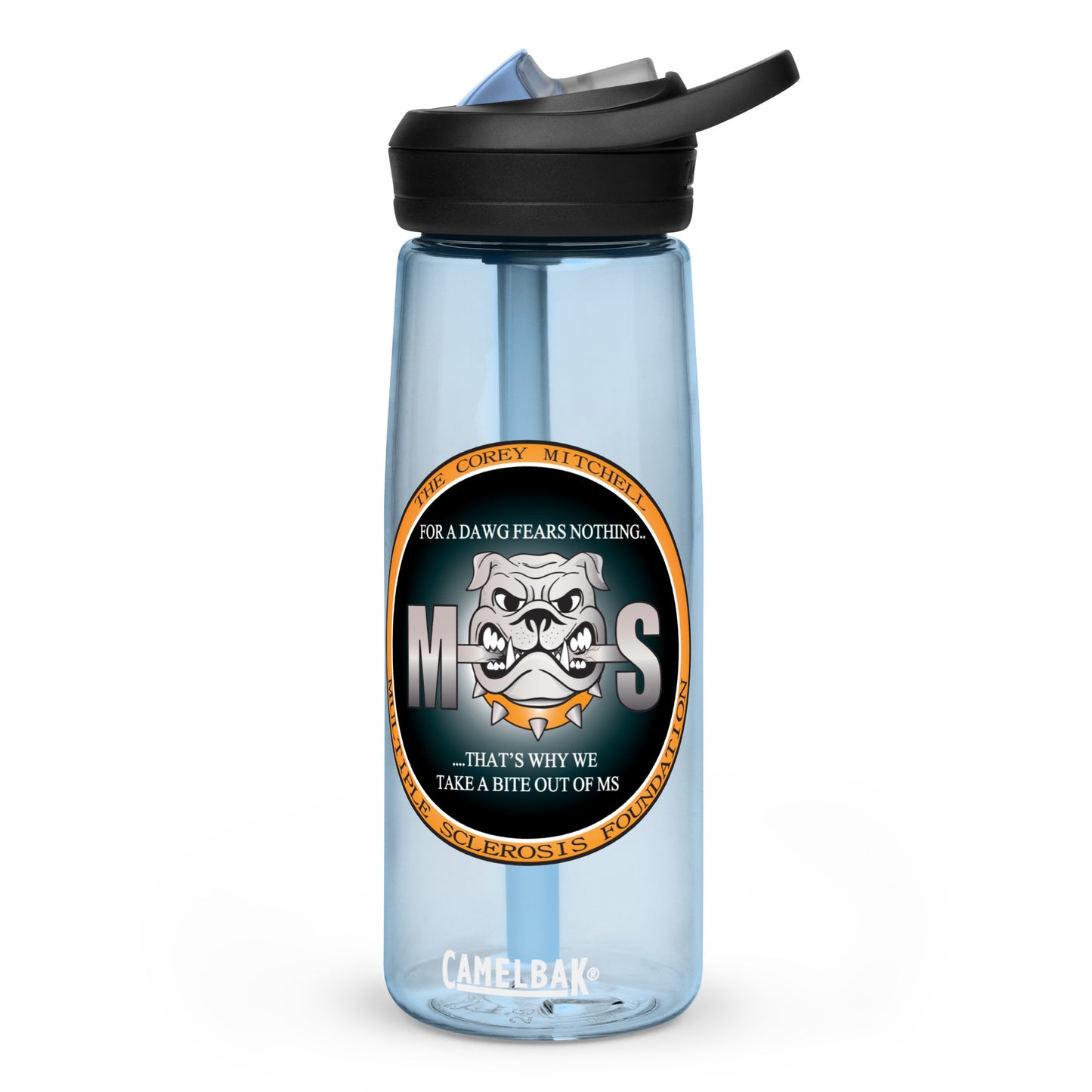 Sports water bottle