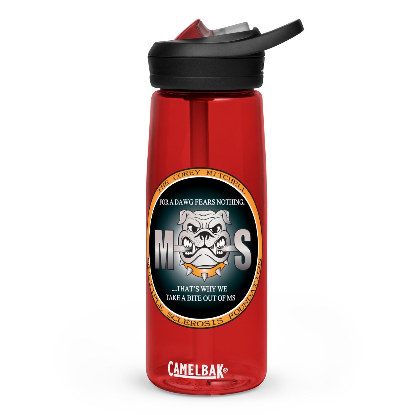 Sports water bottle