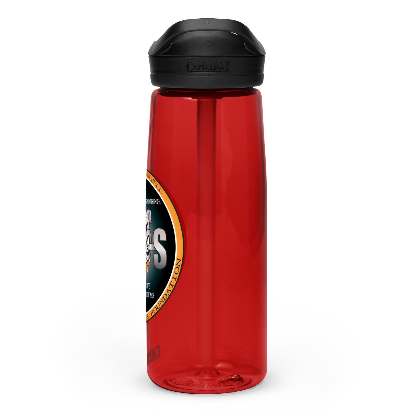 Sports water bottle