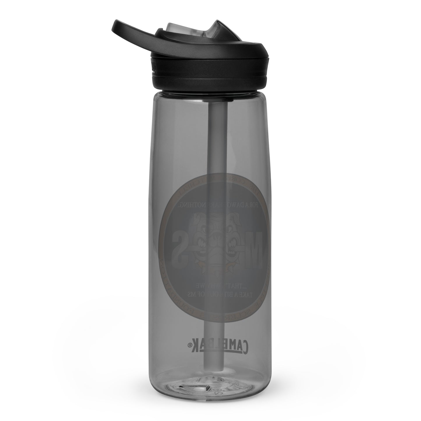 Sports water bottle