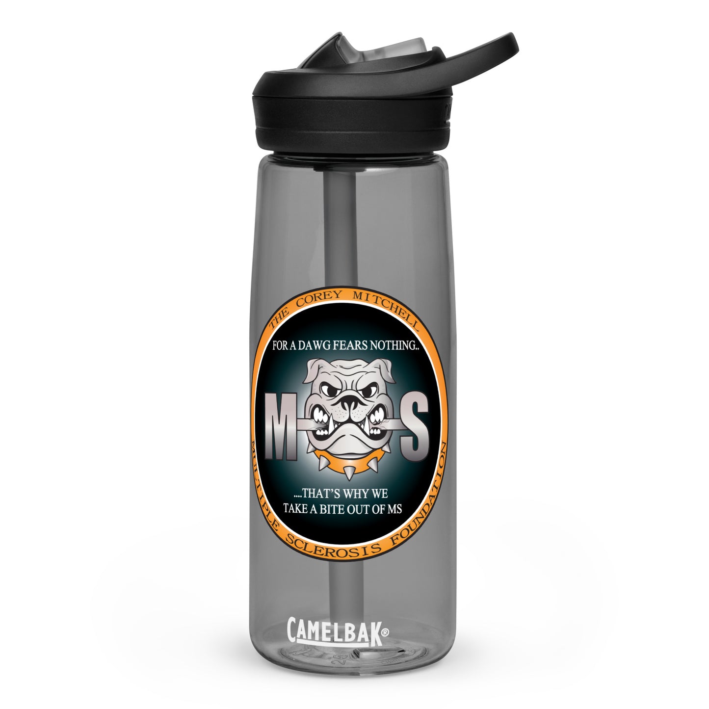Sports water bottle