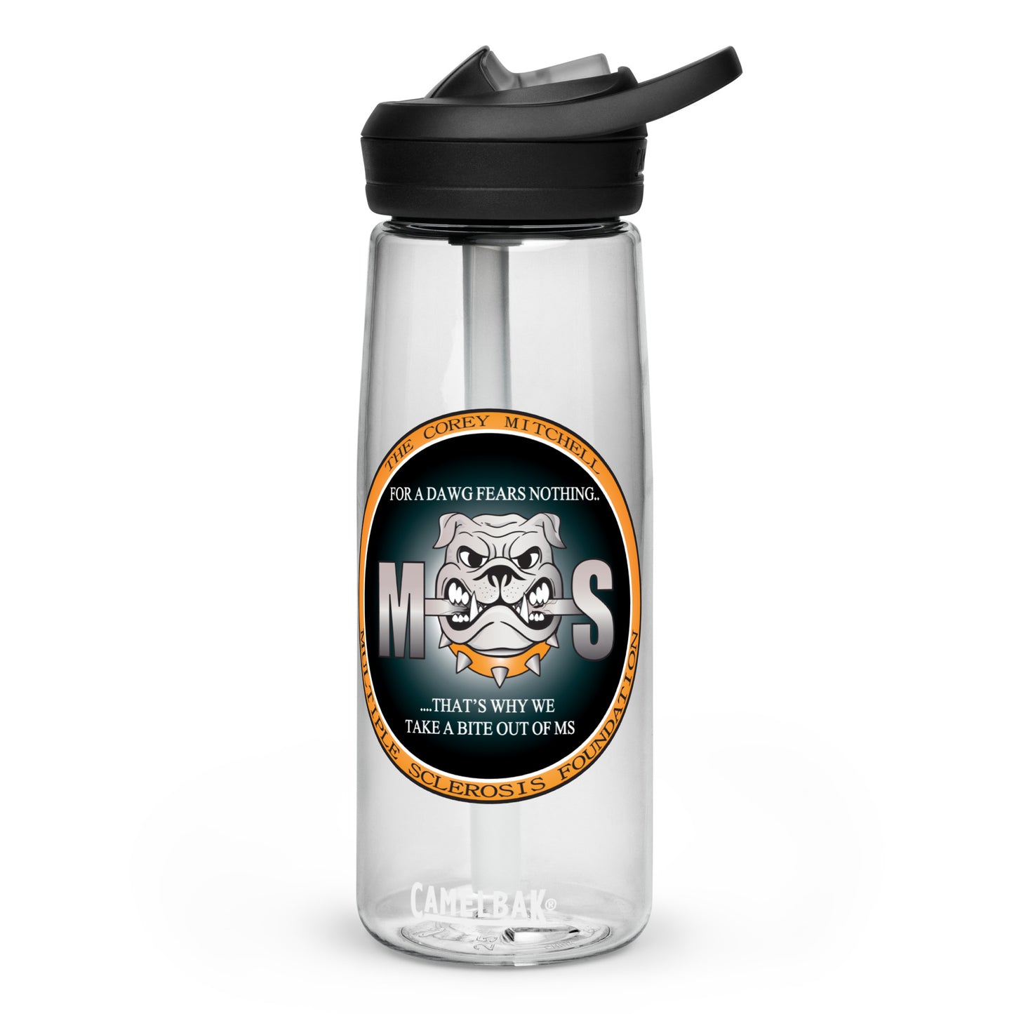 Sports water bottle