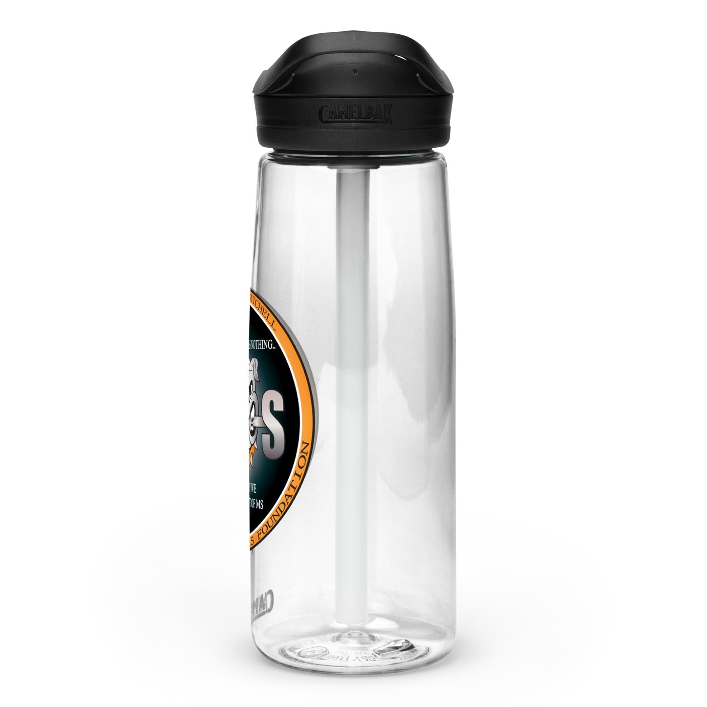 Sports water bottle