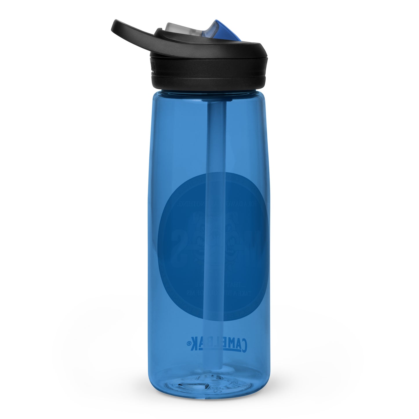 Sports water bottle