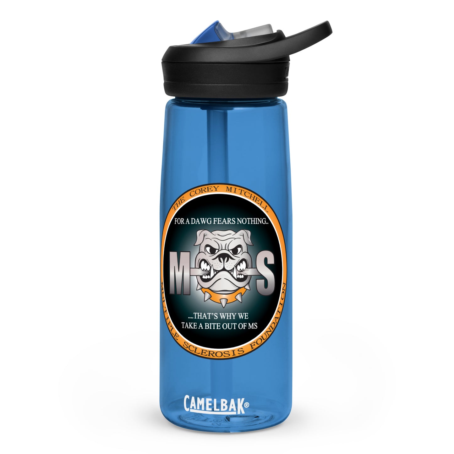 Sports water bottle